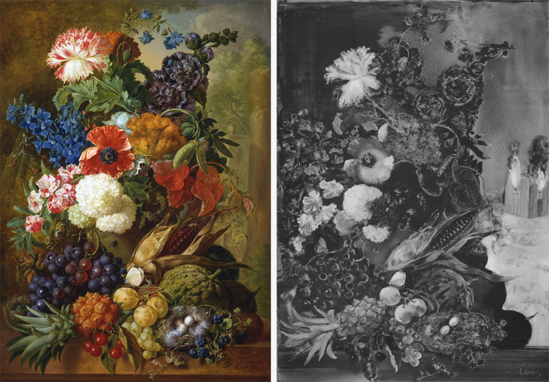 Still Life by Jan van Os and Memento Mori by Christopher Cook